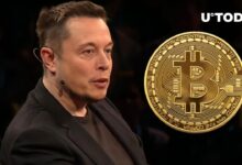 Bitcoin fixes this fort knox audit gold elon musk