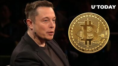 Bitcoin fixes this fort knox audit gold elon musk