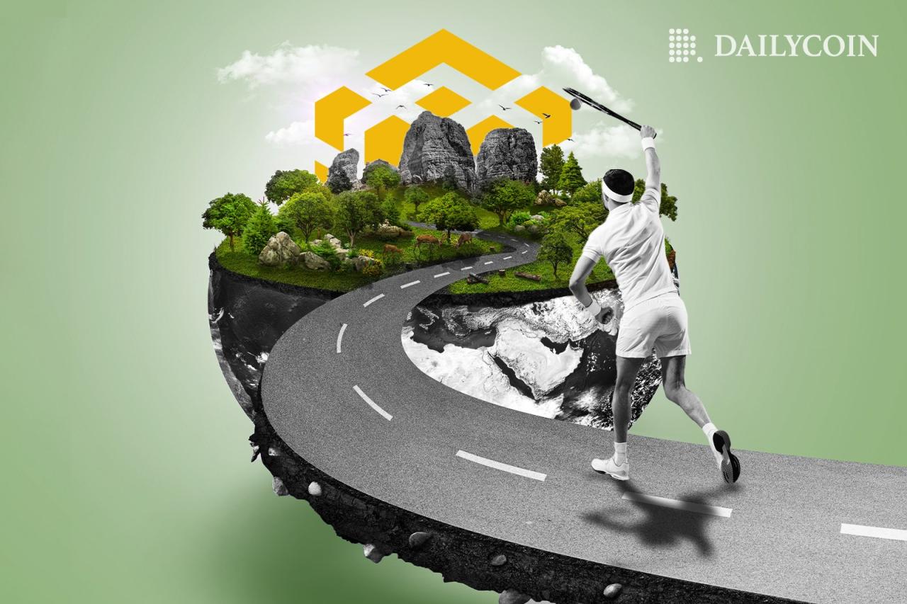 Bnb chain overtakes solana in daily fees