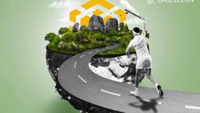 Bnb chain overtakes solana in daily fees