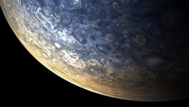 Jupiter buybacks top 100m annually research