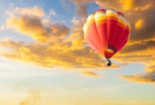 Bitcoin traders fearful after 651m spot btc etf outflows is a price crash coming