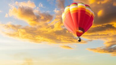 Bitcoin traders fearful after 651m spot btc etf outflows is a price crash coming