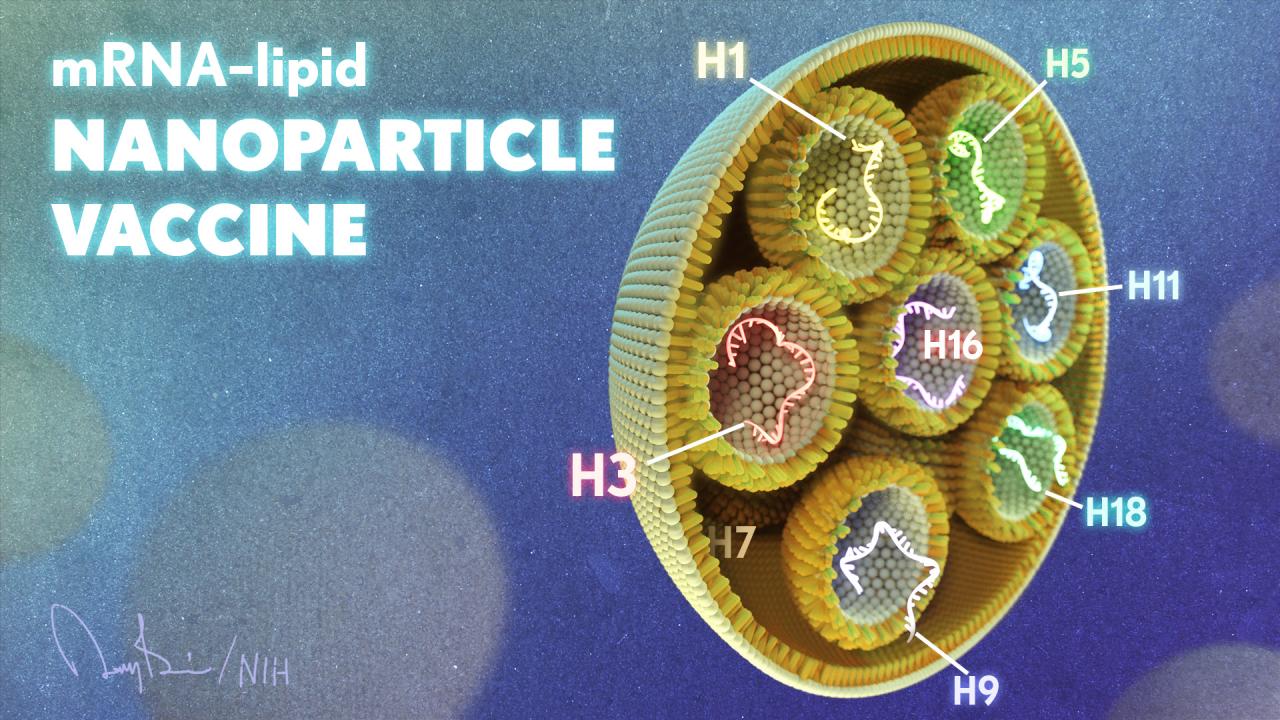 Immune boost Immune boost