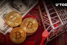 Bitcoin coinbase bloomberg cryptocurrencies cryptocurrency brutal