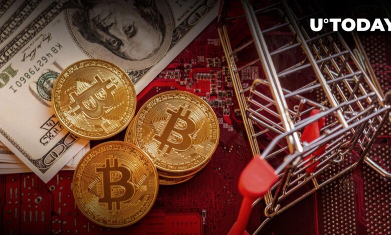 Bitcoin coinbase bloomberg cryptocurrencies cryptocurrency brutal