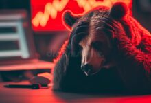 Usdc 56bn market cap regains losses bear market