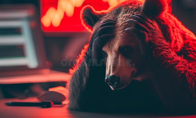 Usdc 56bn market cap regains losses bear market