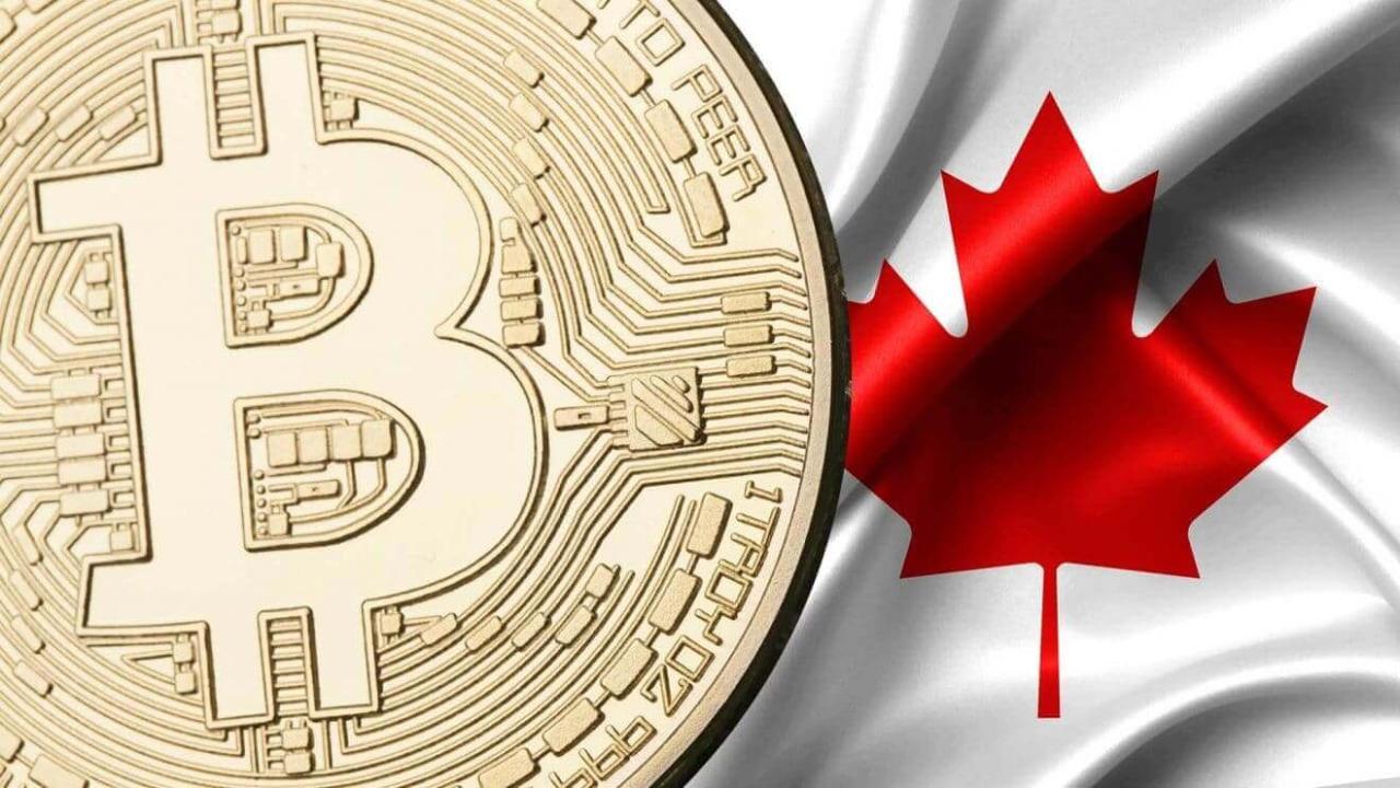 Canadian crypto app founder hid 450 bitcoin jailed