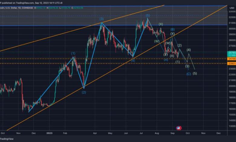 Bitcoin slumps as tech giant palantir pltr rallies to new highs what gives