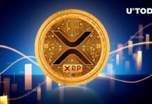 Is xrp price under 3 opportunity rally end analysts