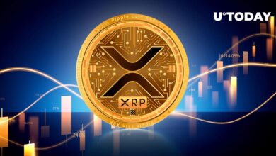 Is xrp price under 3 opportunity rally end analysts