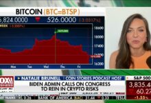 Senator elizabeth warren crypto debanking hearing