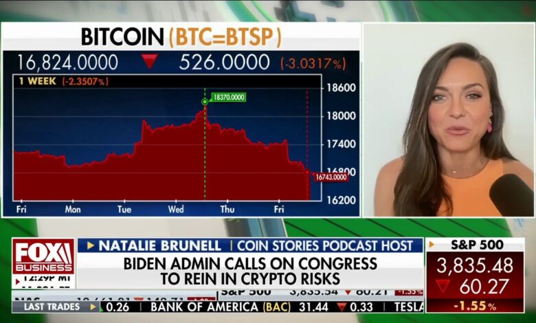 Senator elizabeth warren crypto debanking hearing