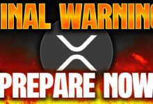 Ripple xrp ledger online hour network halt