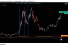 Microstrategy bitcoin purchases hodl