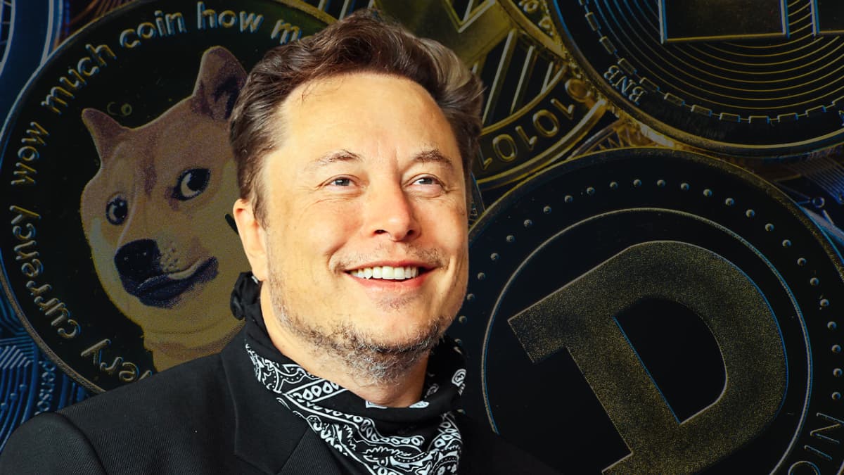 Us treasury sued elon musk doge access payments system