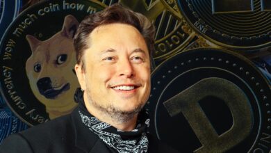 Us treasury sued elon musk doge access payments system