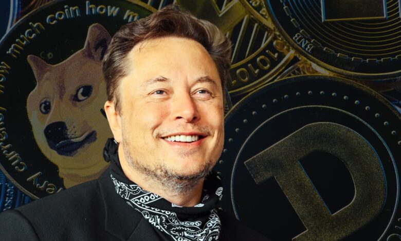 Us treasury sued elon musk doge access payments system