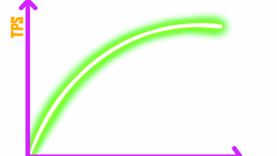 Bitcoin block size 4 mb inscriptions research