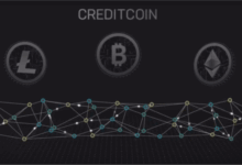 Penguinswap dex officially launches on creditcoin network