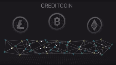 Penguinswap dex officially launches on creditcoin network