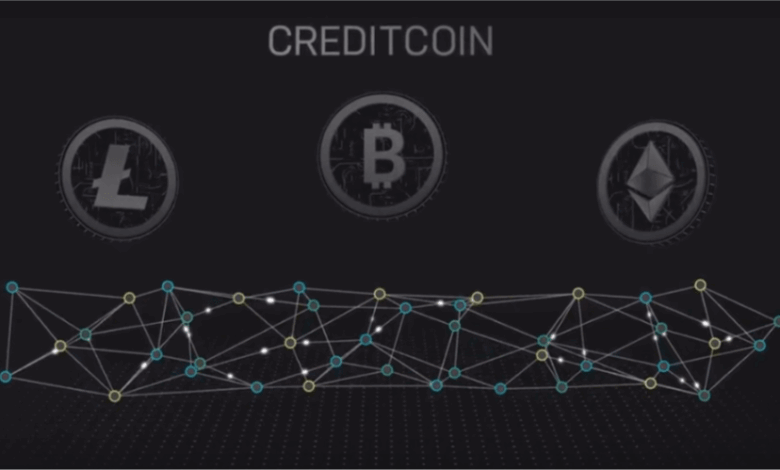 Penguinswap dex officially launches on creditcoin network