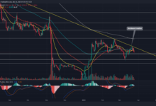 Time for a solana price rebound sol futures are mixed but onchain looks bullish